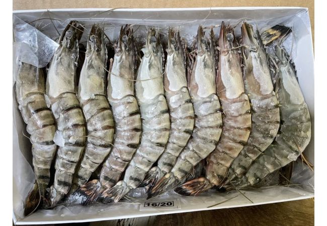 Тигровые креветки